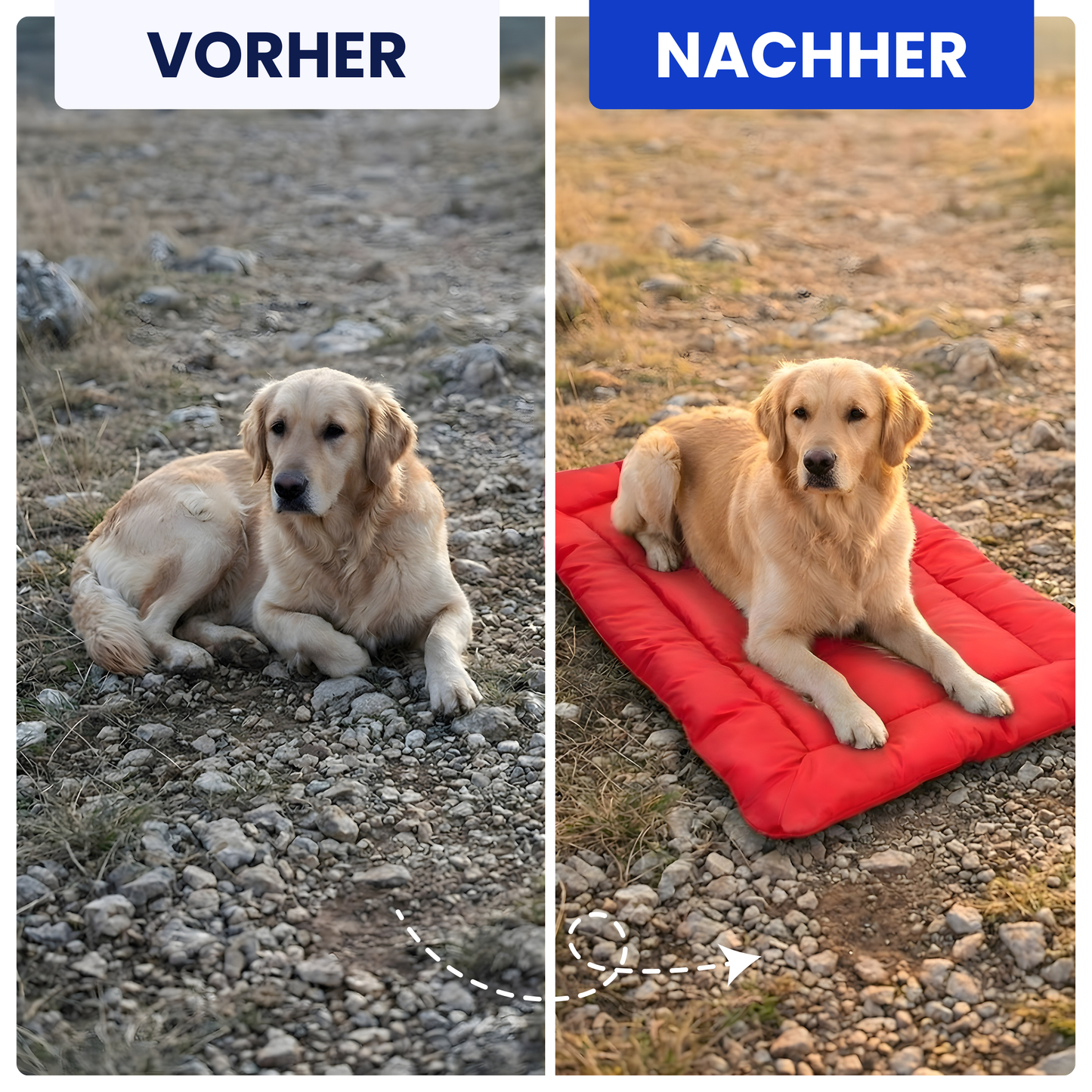 Wasserdichte Hunde-Reisematte – Komfortabler Schlafplatz für unterwegs