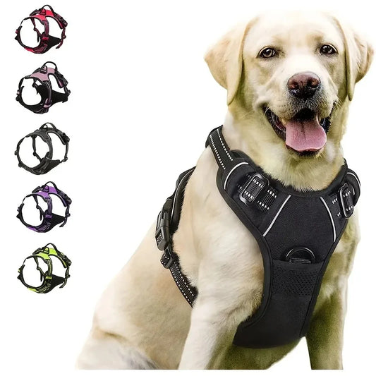 Hundehalsbänder Geschirr Große Westen Leine Zoohandlung Alles für Hunde Leder Welpenzubehör Mittel Klein Set